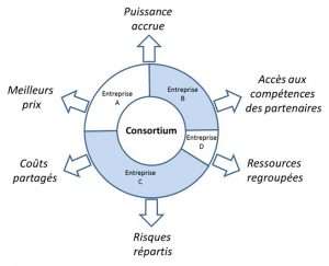 consulting, gouvernance, consortium