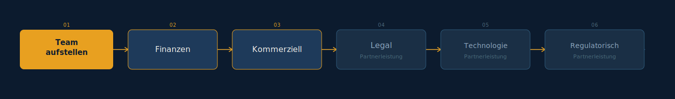 Financial Due Diligence - Vorerwerbsprüfung - Buy-Side Due Diligence - Vendor Due Diligence - Commercial Due Diligence - regulatorische Due Diligence - IT Due Diligence
