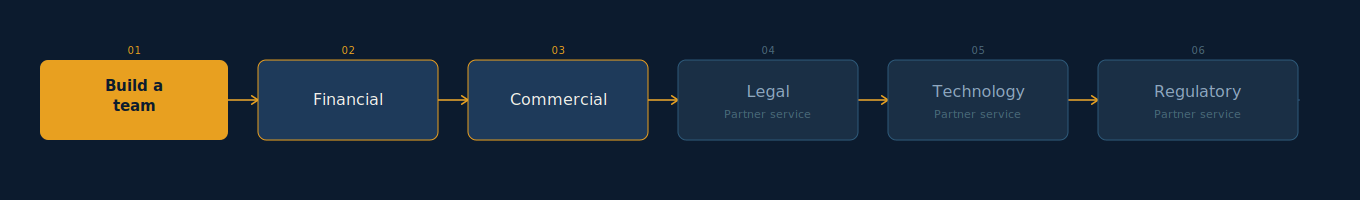 financial due diligence - pre-acquisition audit - buy-side due diligence - sell-side due diligence - commercial due diligence - regulatory due diligence - IT due diligence