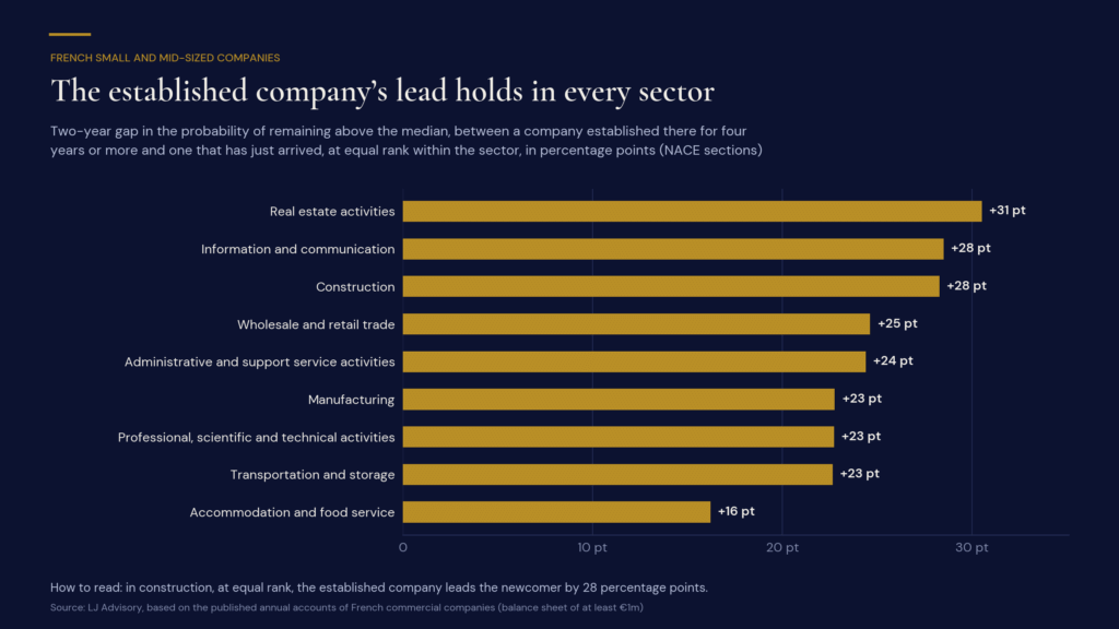 Sector profitability benchmark: gap in the probability of remaining above the median between established companies and recent outperformers, by sector